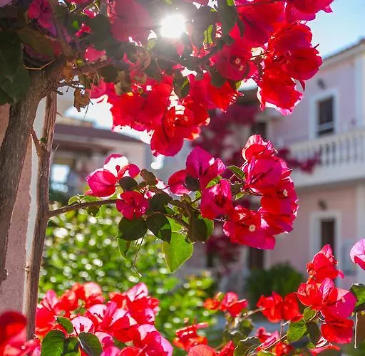 Margarita Apartment Kalamákion